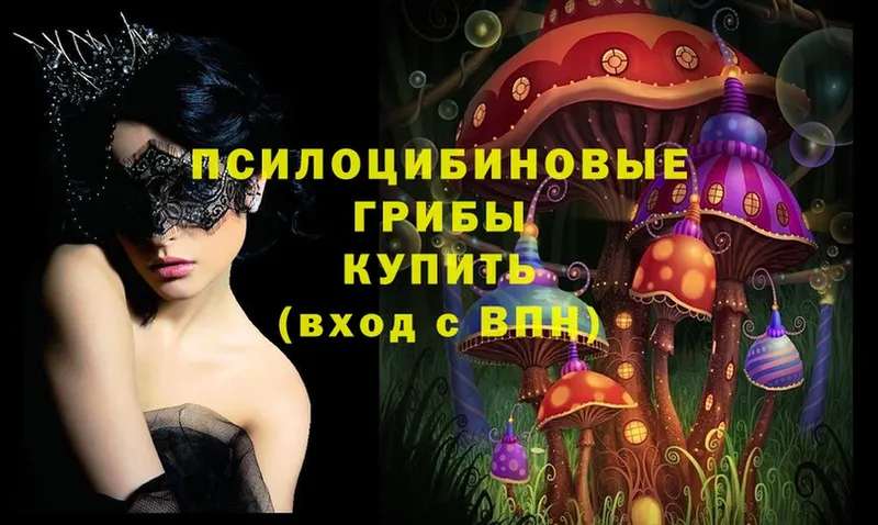 Псилоцибиновые грибы Magic Shrooms  Гдов 